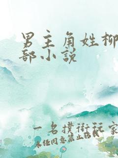 男主角姓柳的全部小说