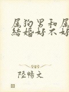 属狗男和属鼠女结婚好不好