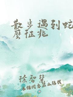 散步遇到蛇是什么征兆