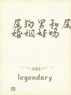 属狗男和属牛女婚姻好吗