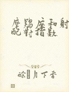 摩羯座和射手女配对指数