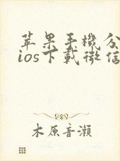 苹果手机分身版ios下载微信免费