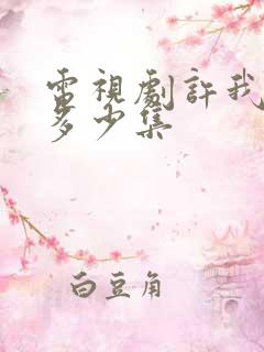 电视剧许我耀眼多少集