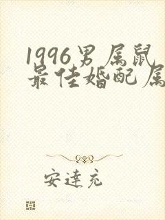 1996男属鼠最佳婚配属相
