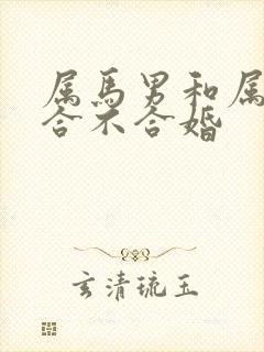 属马男和属牛女合不合婚