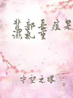 背部长痘是不是湿气重