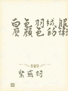 白色羽绒服搭什么颜色的卫衣好看