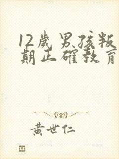 12岁男孩叛逆期正确教育方法