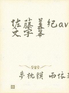 佐藤美纪av中文字幕