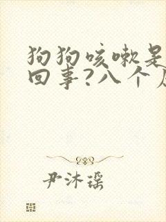 狗狗咳嗽是怎么回事?八个原因