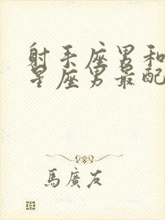 射手座男和什么星座男最配对