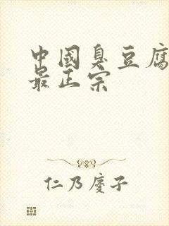 中国臭豆腐哪里最正宗