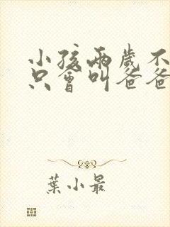 小孩两岁不说话只会叫爸爸妈妈