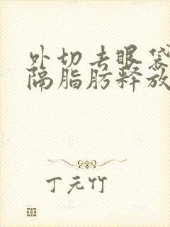 外切去眼袋加眶隔脂肪释放