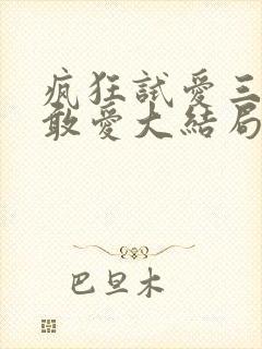 疯狂试爱三之勇敢爱大结局