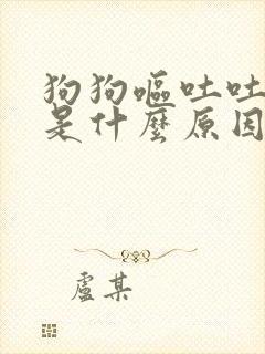 狗狗呕吐吐黄水是什么原因