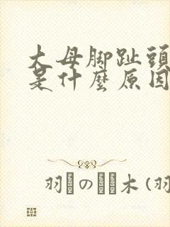 大母脚趾头发麻是什么原因