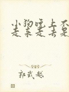 小狗晚上不睡觉走来走去是什么原因