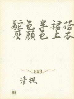 驼色半裙搭配什么颜色上衣好看