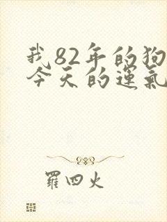 我82年的狗,今天的运气怎么样