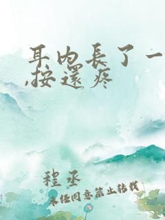 耳内长了一个包,按还疼