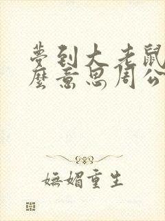 梦到大老鼠是什么意思周公解梦