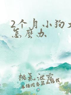 2个月小狗犬瘟怎么办