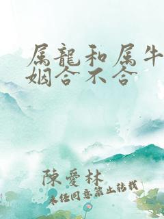 属龙和属牛的婚姻合不合