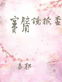 宫腔镜检查多少费用