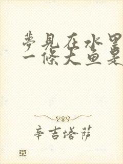 梦见在水里抓到一条大鱼是什么征兆