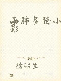 两肺多发小结节影