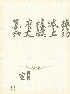 怎么样减掉肚子和大腿上的赘肉