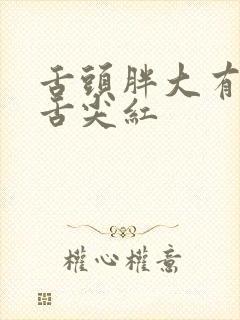 舌头胖大有齿痕舌尖红