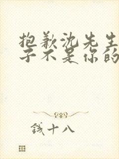 抱歉沈先生,孩子不是你的第十集