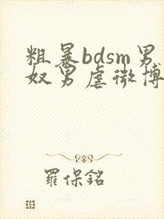 粗暴bdsm男奴男虐微博