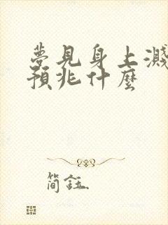 梦见身上溅到屎预兆什么