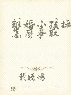 离婚小孩抚养权怎么争取