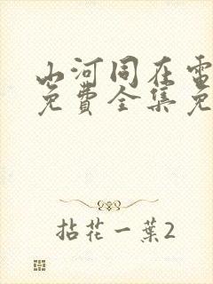 山河同在电视剧免费全集免费播放