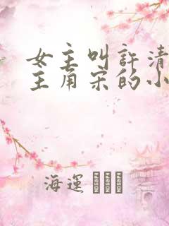 女主叫许清欢男主角宋的小说