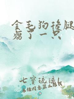 金毛狗后腿突然瘸了一只