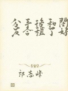 分手后和闺蜜男友合租了好不好