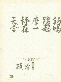 天秤摩羯的人适合在一起吗