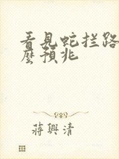 看见蛇拦路是什么预兆