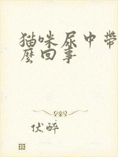 猫咪尿中带血怎么回事