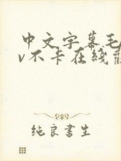 中文字幕毛片av不卡在线观看