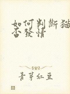 如何判断猫咪是否发情