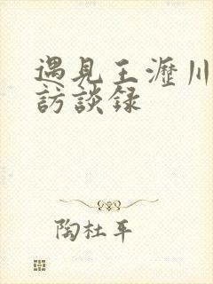 遇见王沥川导演访谈录