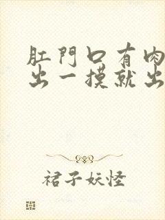 肛门口有肉球突出一摸就出血