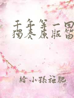 千年等一回笛子独奏原版笛调