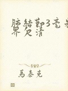 肺结节3毫米边界欠清